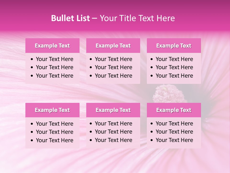 Regal Mallow Flower Nature PowerPoint Template