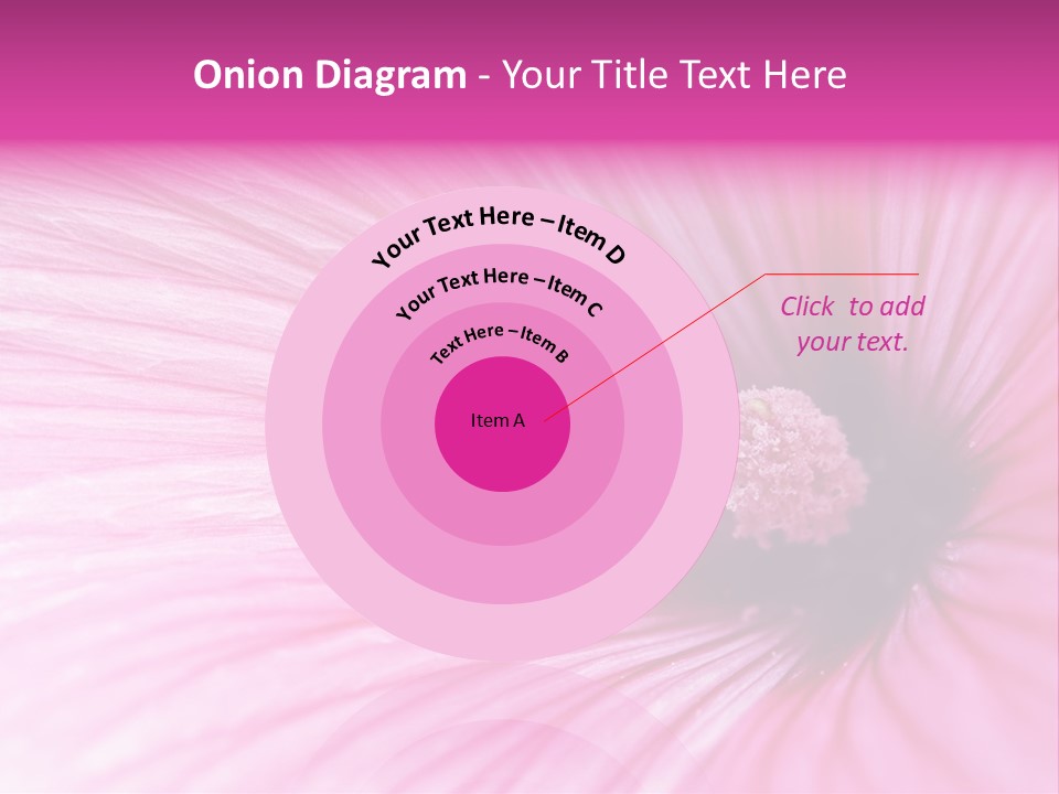 Regal Mallow Flower Nature PowerPoint Template