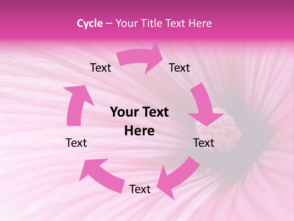 Regal Mallow Flower Nature PowerPoint Template