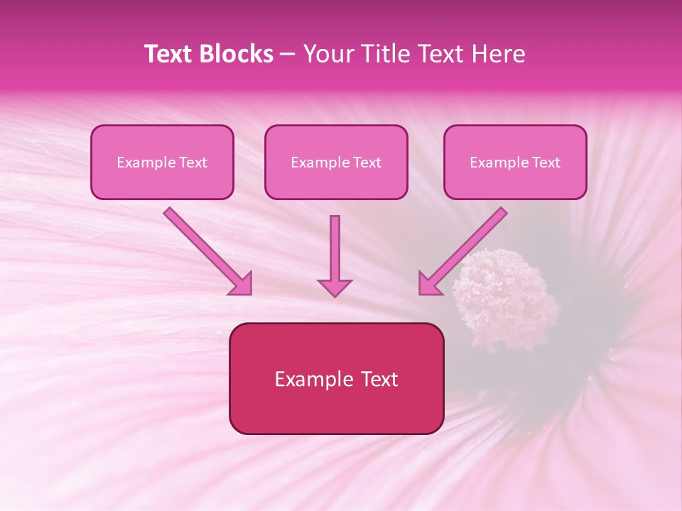 Regal Mallow Flower Nature PowerPoint Template