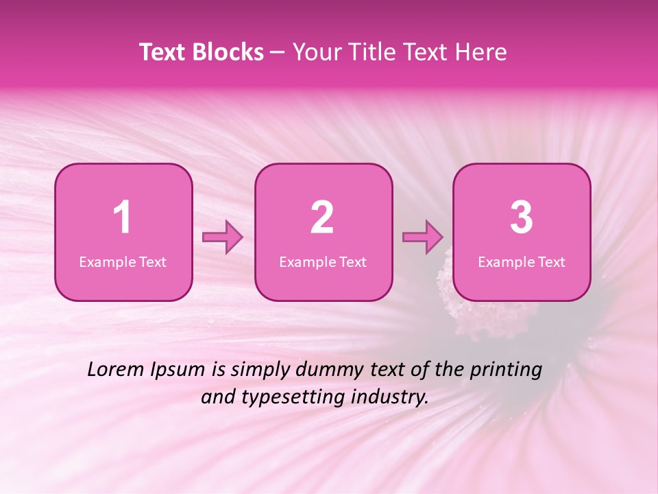 Regal Mallow Flower Nature PowerPoint Template