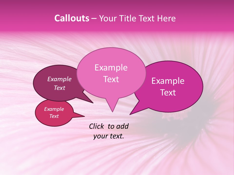 Regal Mallow Flower Nature PowerPoint Template