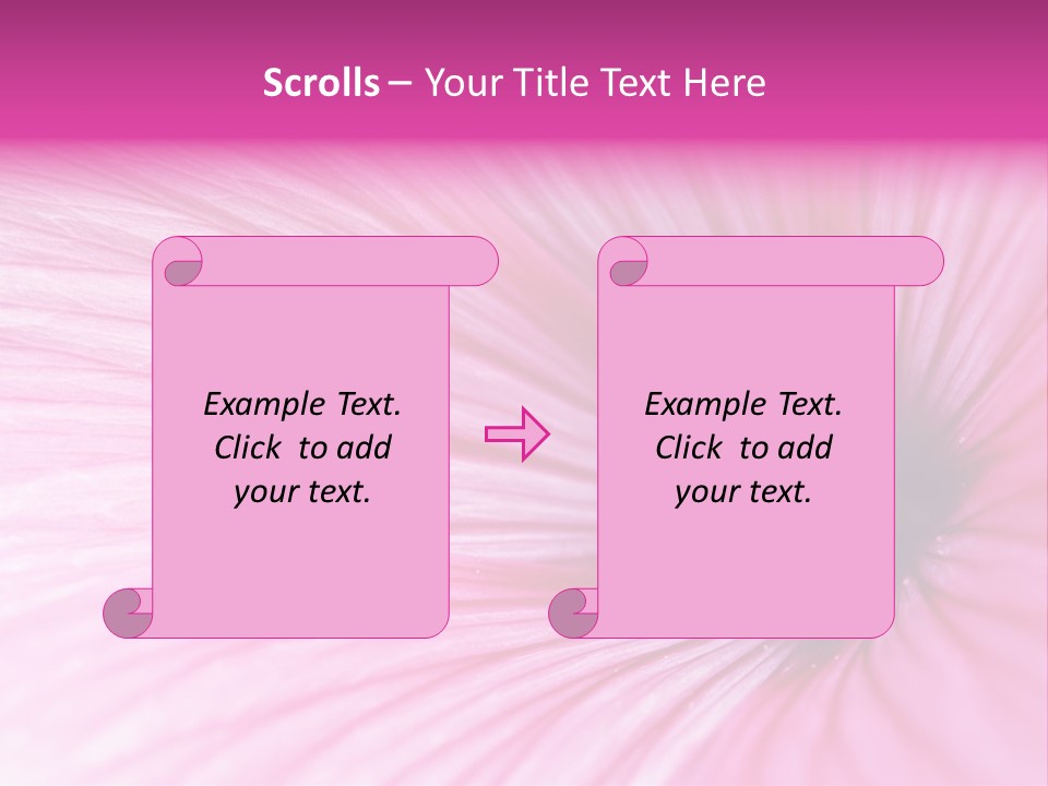 Regal Mallow Flower Nature PowerPoint Template