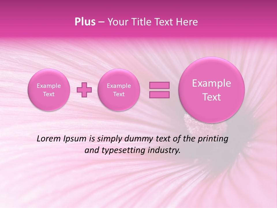 Regal Mallow Flower Nature PowerPoint Template