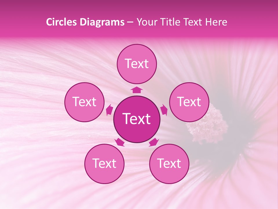 Regal Mallow Flower Nature PowerPoint Template