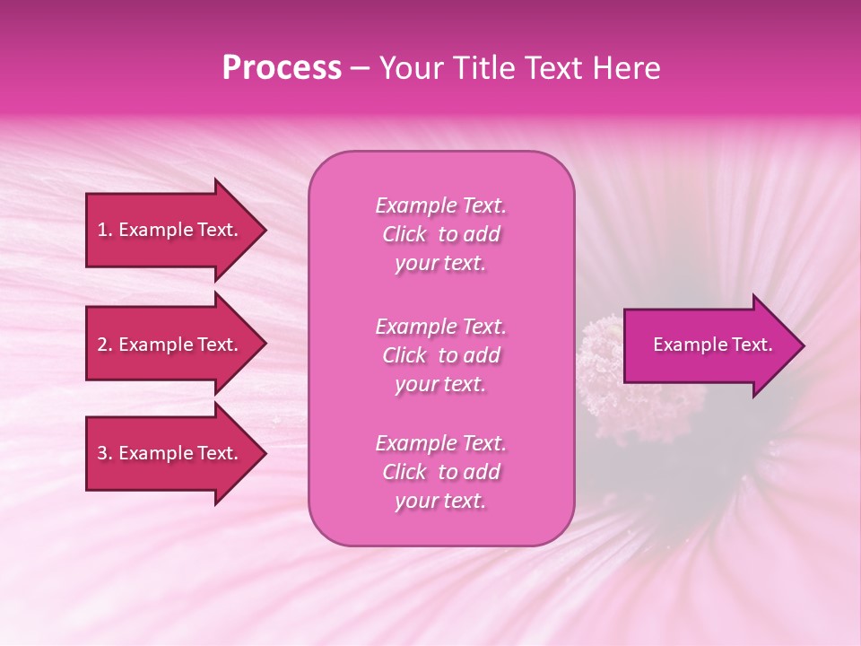 Regal Mallow Flower Nature PowerPoint Template