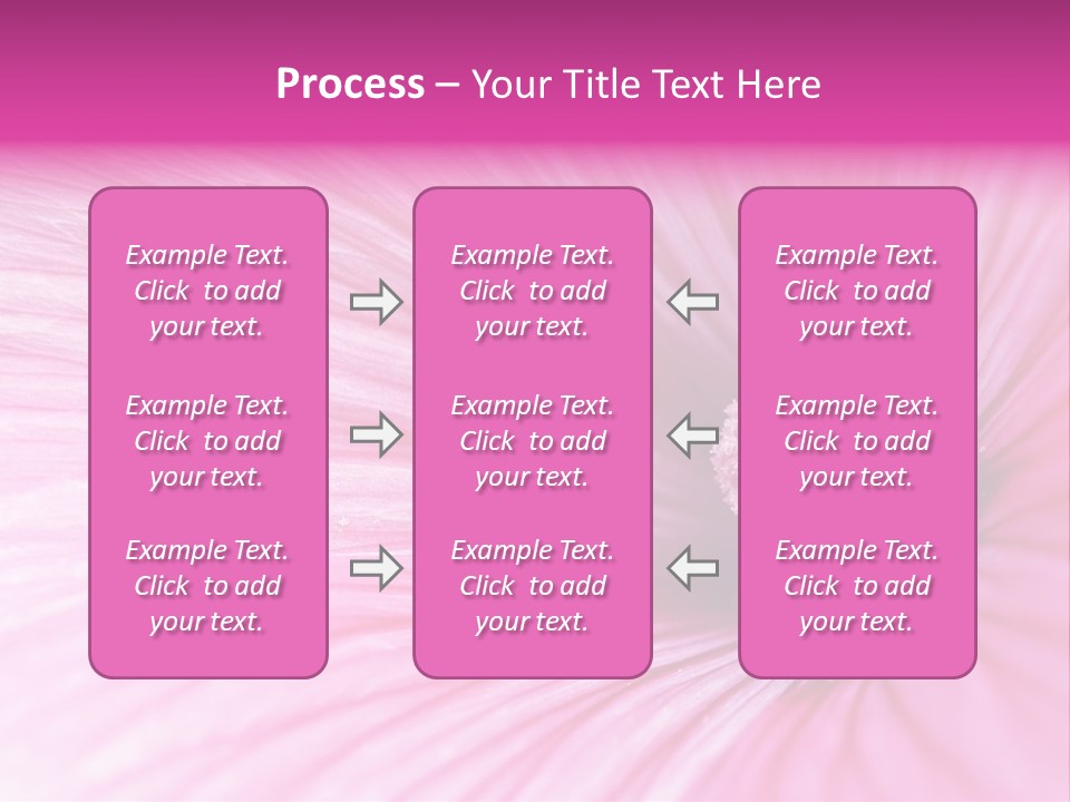 Regal Mallow Flower Nature PowerPoint Template