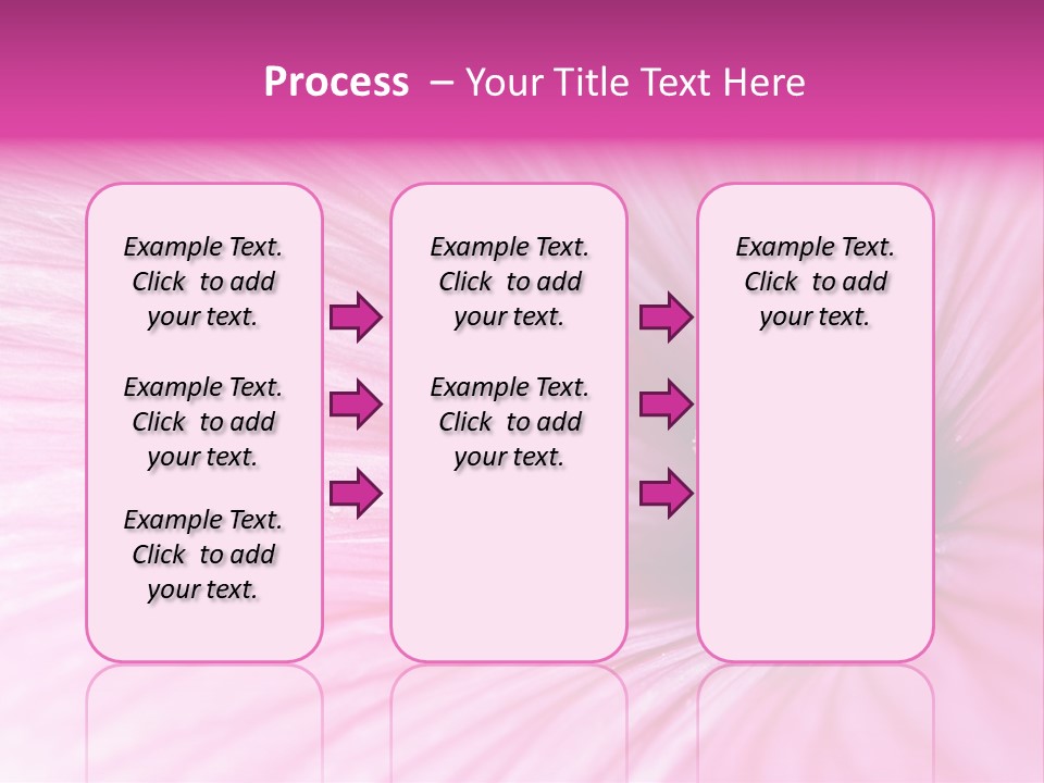 Regal Mallow Flower Nature PowerPoint Template
