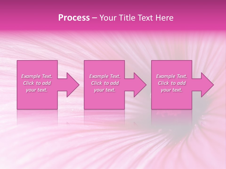 Regal Mallow Flower Nature PowerPoint Template