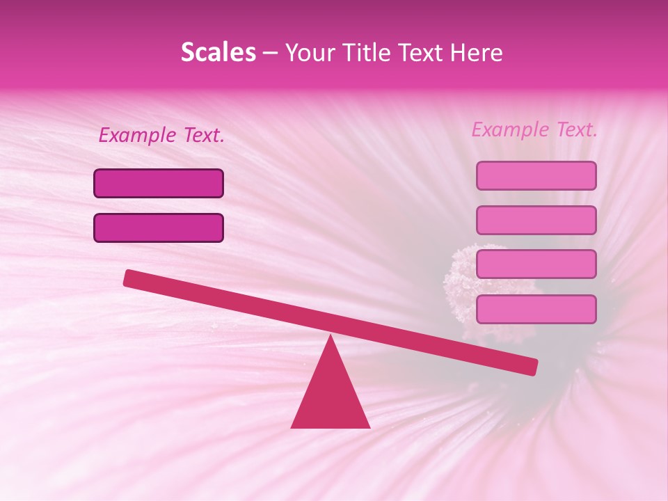 Regal Mallow Flower Nature PowerPoint Template