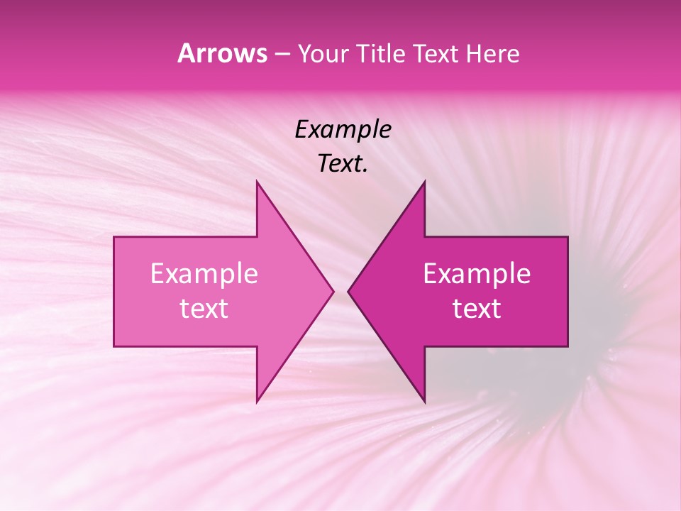 Regal Mallow Flower Nature PowerPoint Template