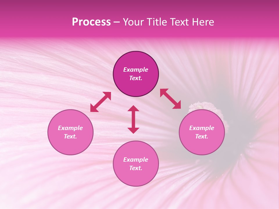 Regal Mallow Flower Nature PowerPoint Template