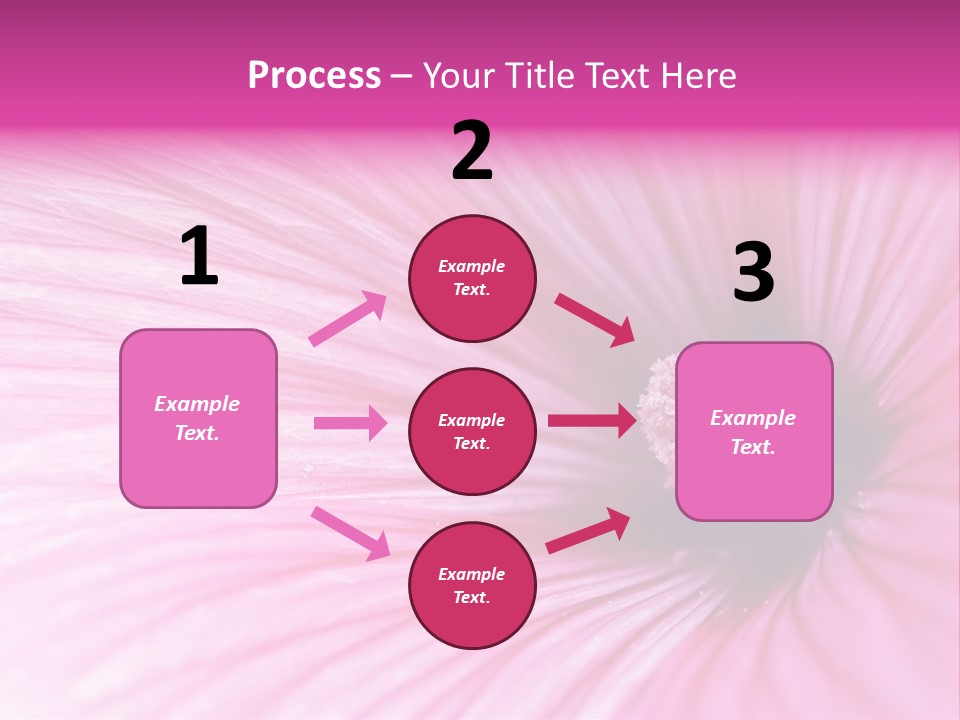 Regal Mallow Flower Nature PowerPoint Template