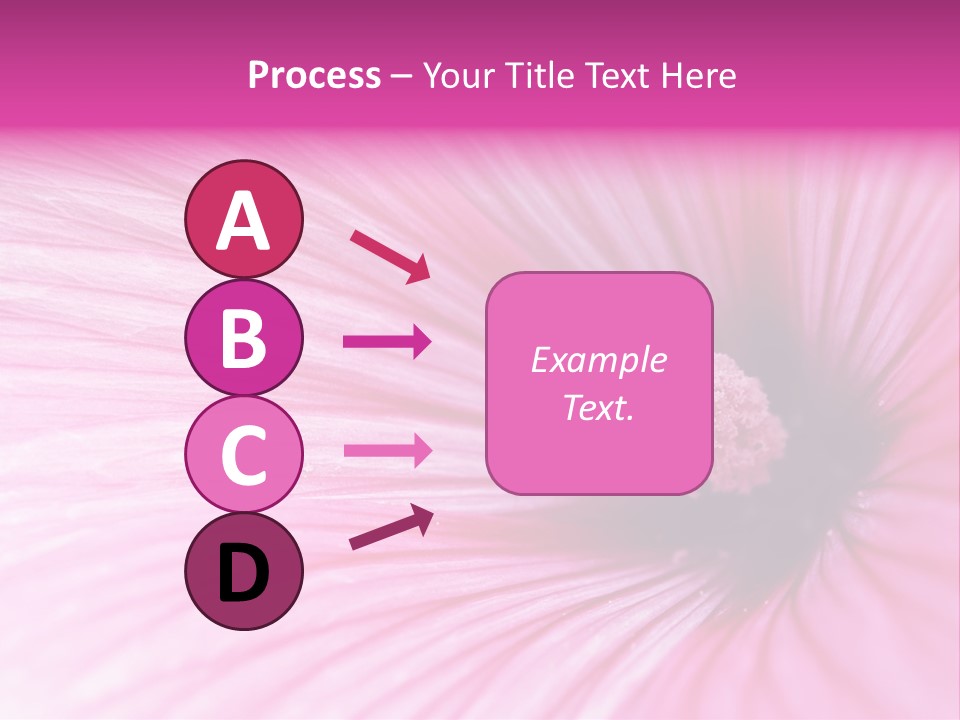 Regal Mallow Flower Nature PowerPoint Template