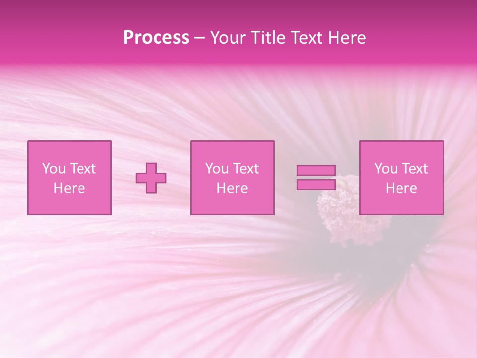 Regal Mallow Flower Nature PowerPoint Template