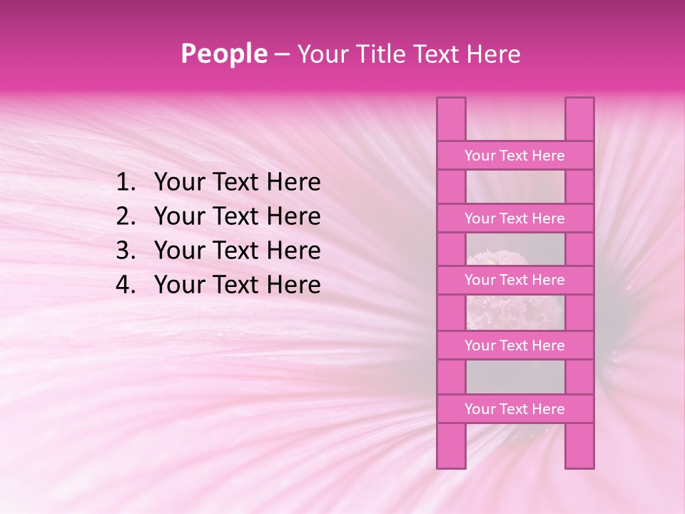 Regal Mallow Flower Nature PowerPoint Template