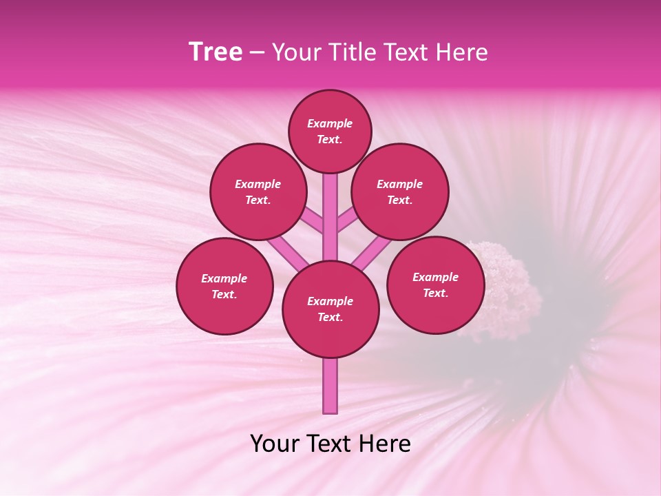 Regal Mallow Flower Nature PowerPoint Template