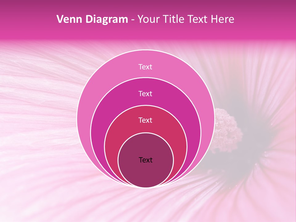 Regal Mallow Flower Nature PowerPoint Template