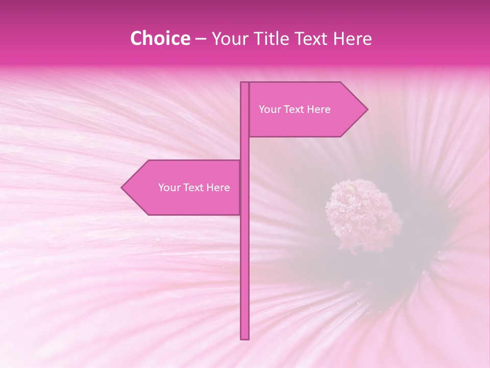 Regal Mallow Flower Nature PowerPoint Template