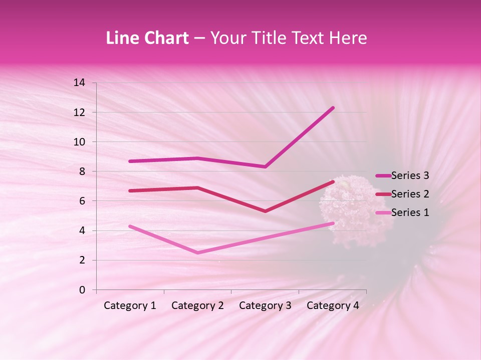 Regal Mallow Flower Nature PowerPoint Template