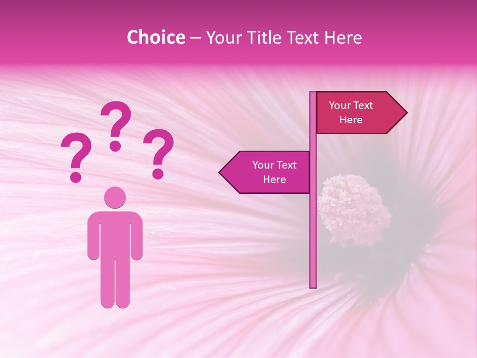 Regal Mallow Flower Nature PowerPoint Template