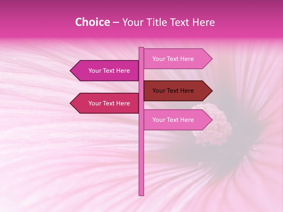 Regal Mallow Flower Nature PowerPoint Template