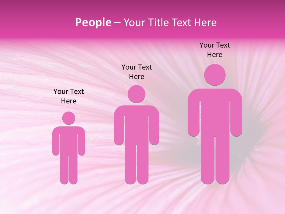 Regal Mallow Flower Nature PowerPoint Template