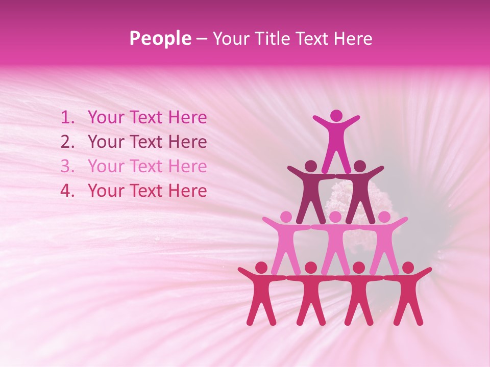 Regal Mallow Flower Nature PowerPoint Template