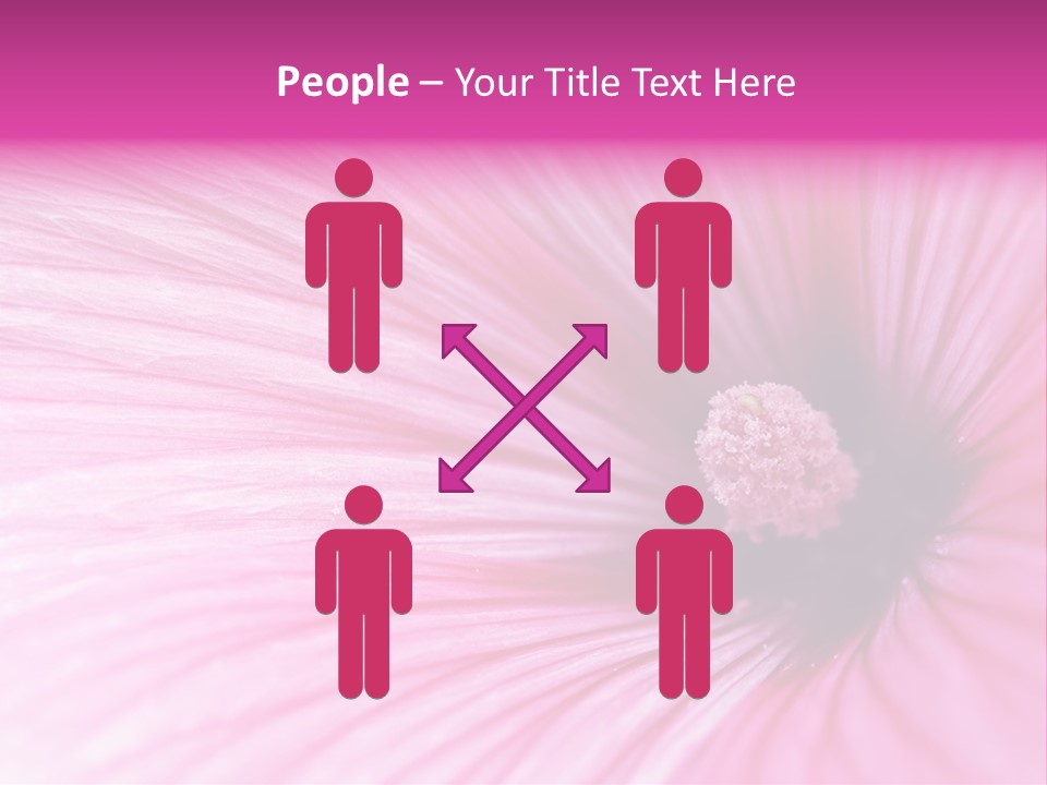 Regal Mallow Flower Nature PowerPoint Template