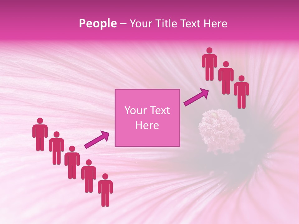 Regal Mallow Flower Nature PowerPoint Template