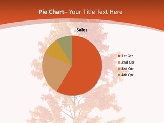 Group Room Meeting PowerPoint Template