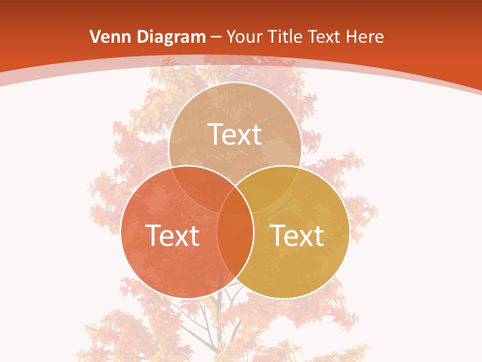 Group Room Meeting PowerPoint Template