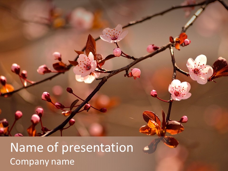 Garden Season Orchard PowerPoint Template