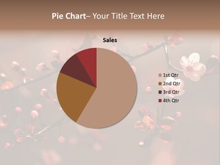 Garden Season Orchard PowerPoint Template