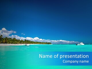 Coastline Sand Palm Tree PowerPoint Template