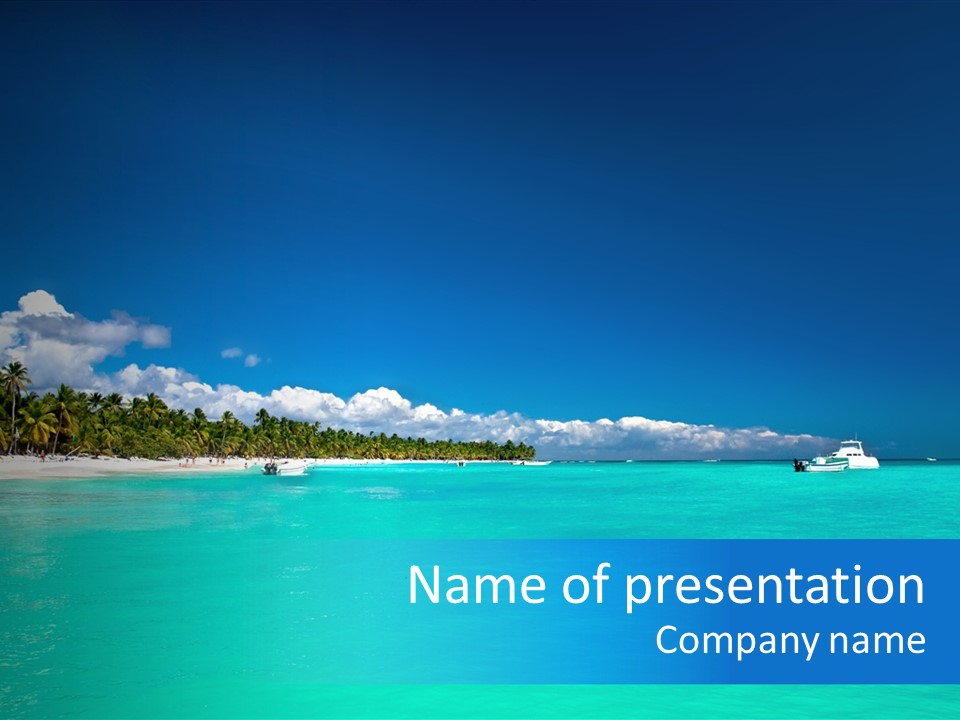 Coastline Sand Palm Tree PowerPoint Template