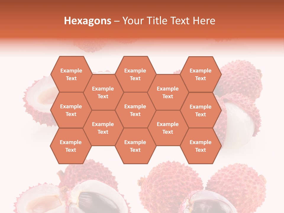 Eed Tropical Climate PowerPoint Template