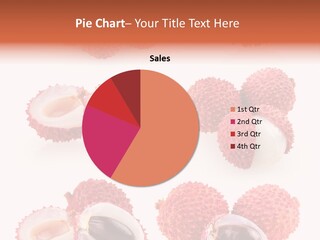 Eed Tropical Climate PowerPoint Template