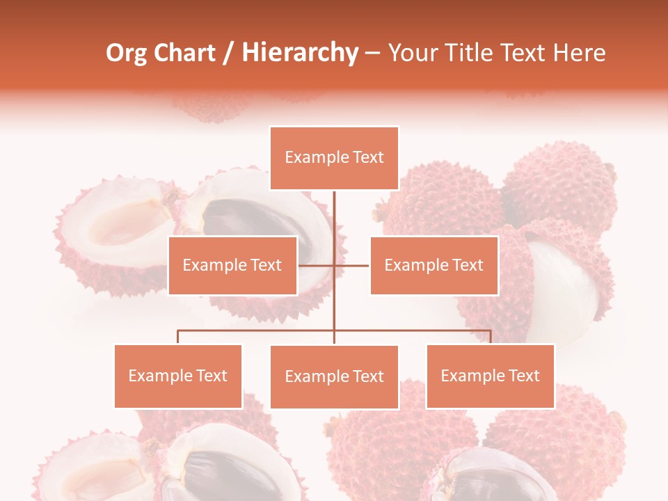 Eed Tropical Climate PowerPoint Template
