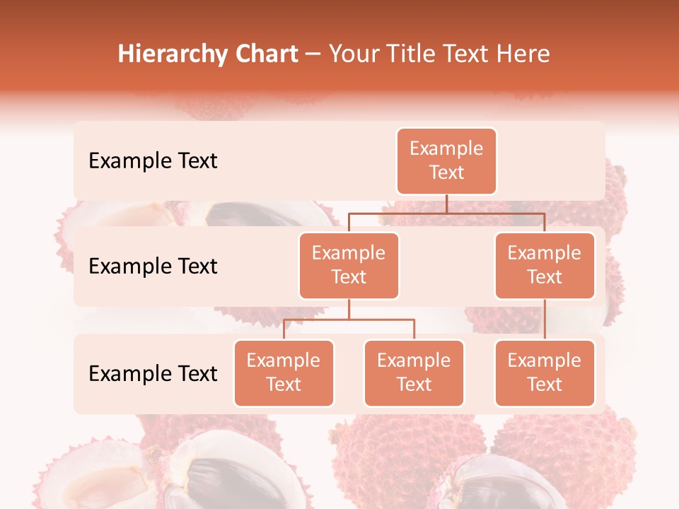 Eed Tropical Climate PowerPoint Template