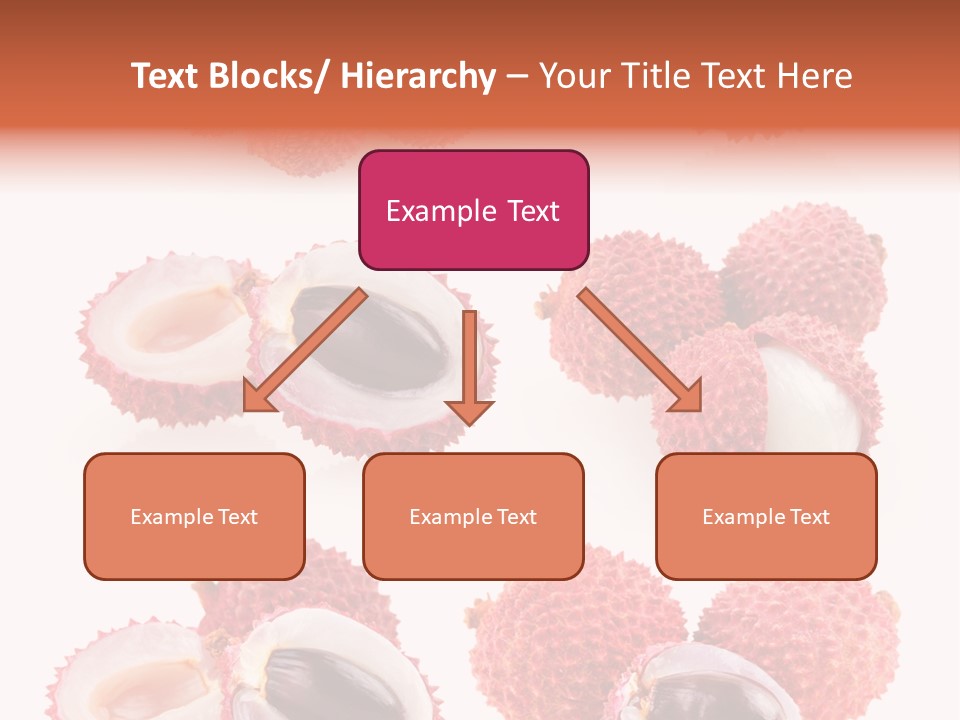Eed Tropical Climate PowerPoint Template