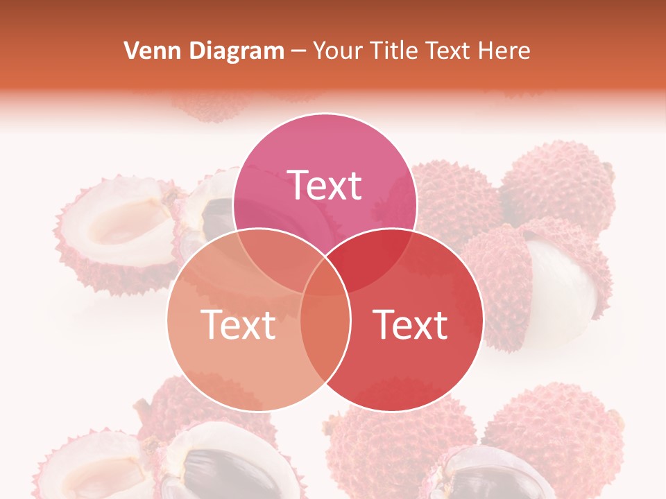 Eed Tropical Climate PowerPoint Template