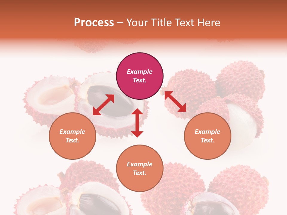 Eed Tropical Climate PowerPoint Template