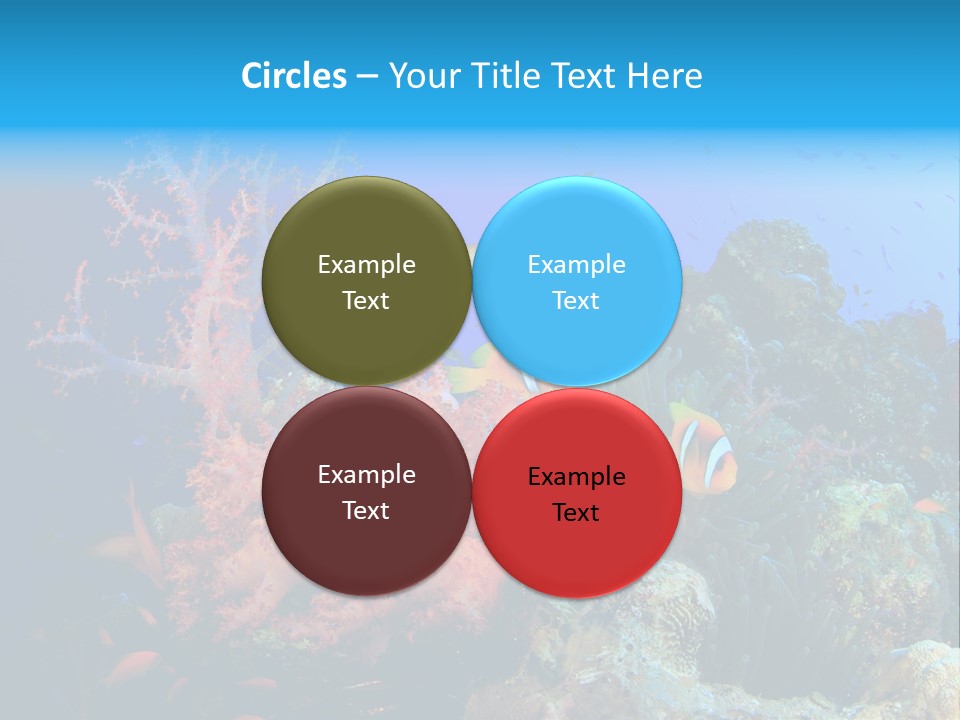 Marine Red Ocean PowerPoint Template