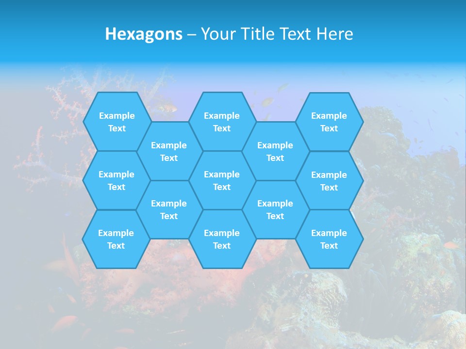 Marine Red Ocean PowerPoint Template