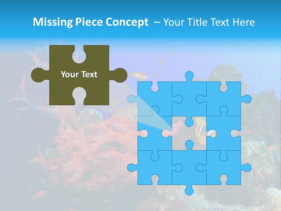 Marine Red Ocean PowerPoint Template