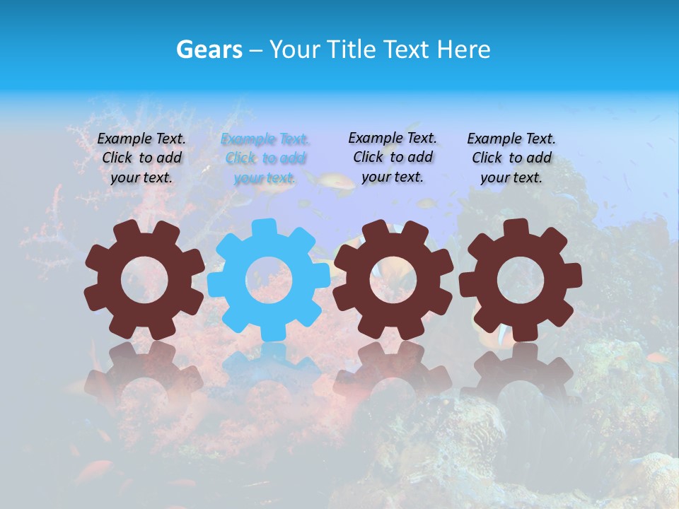 Marine Red Ocean PowerPoint Template