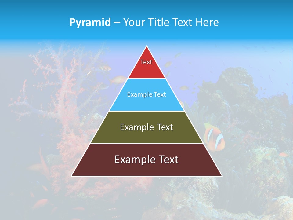 Marine Red Ocean PowerPoint Template