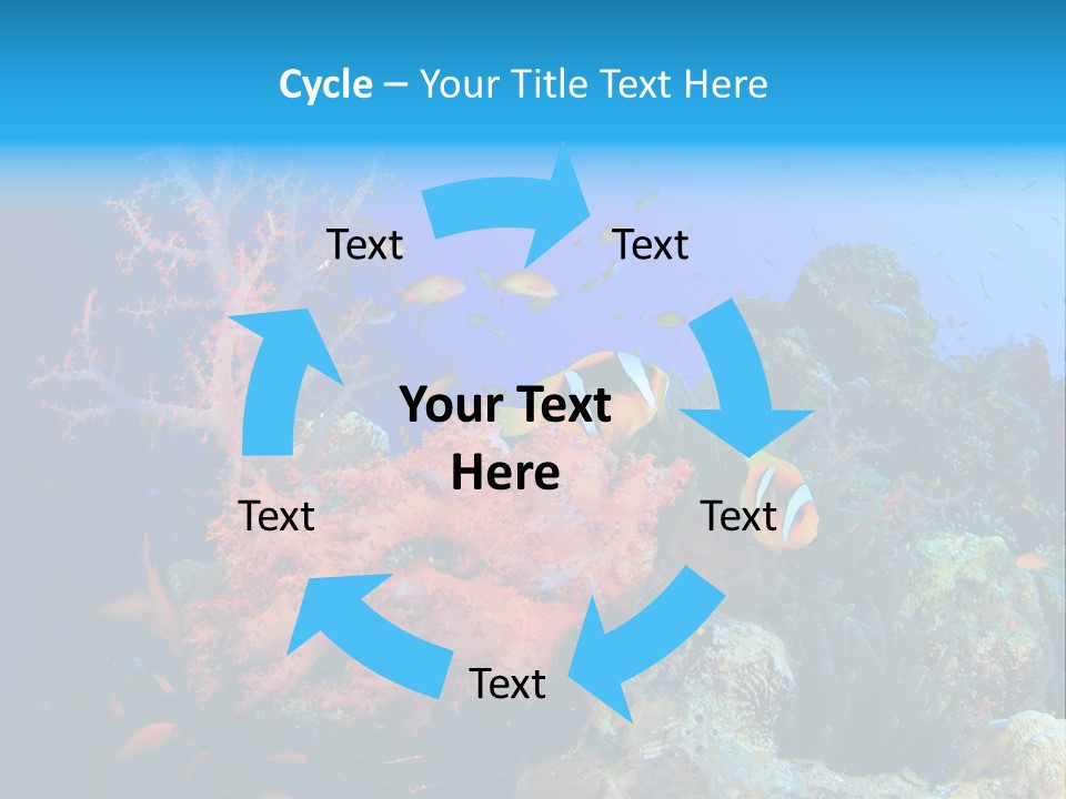 Marine Red Ocean PowerPoint Template