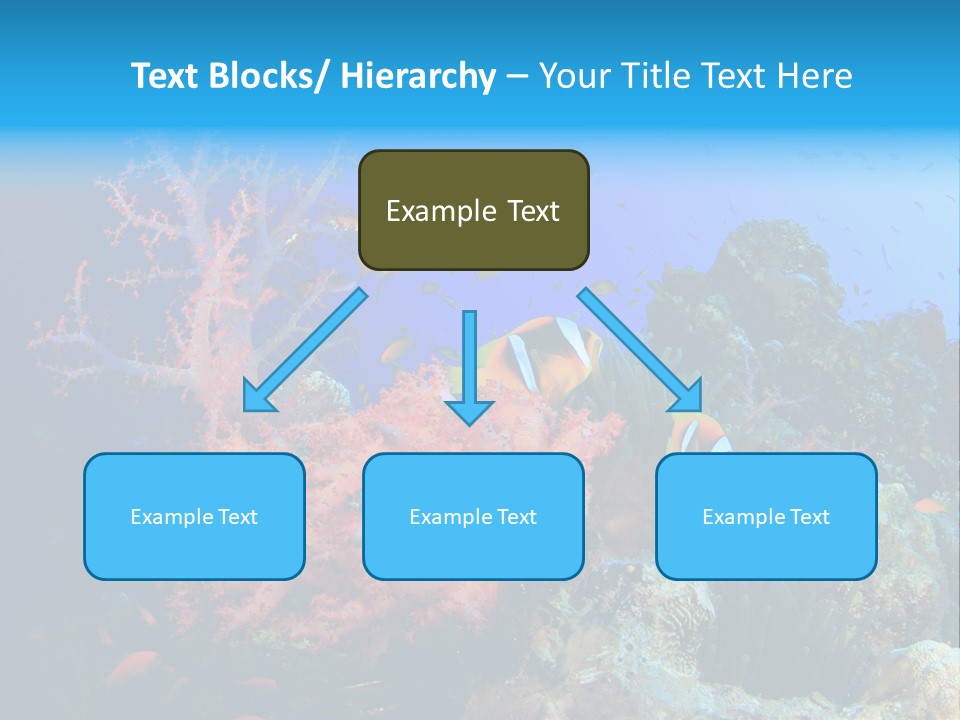 Marine Red Ocean PowerPoint Template